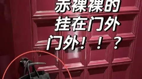 中银证券Ebpay用户中心：自营收入低至最低，收益率面临挑战，投资策略引关注券商半年报深度解析
